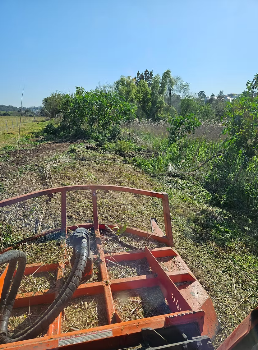 Riverbank Clearing for Farming Access