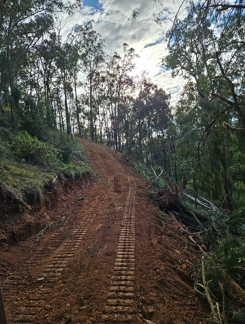 One of our fire trails we established in Barrington, NSW