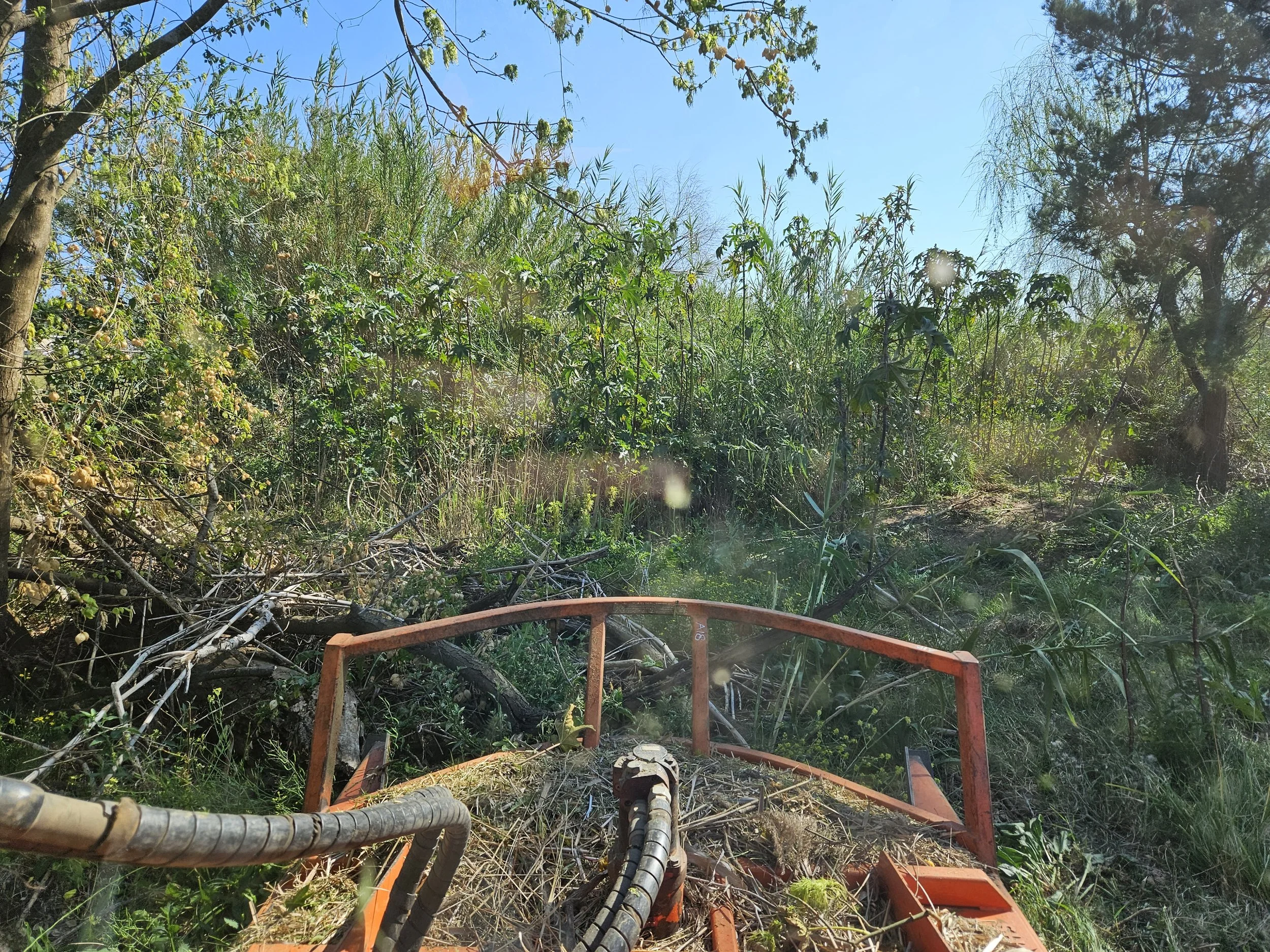 Clearing and Grubbing 