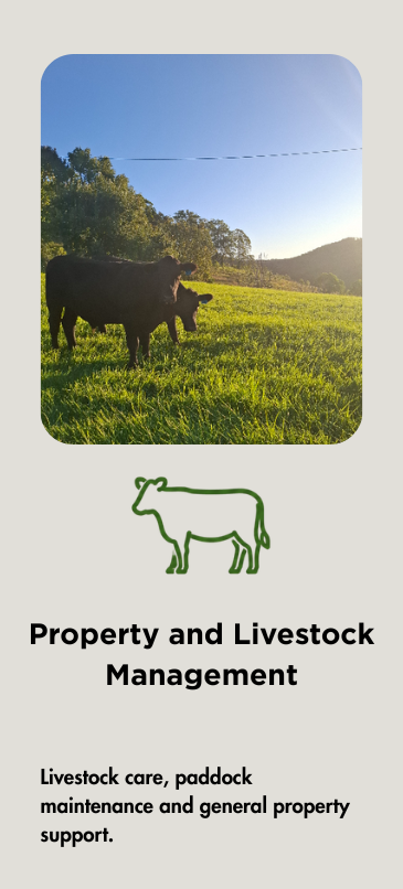 Livestock management, cattle, cattle yard, paddock maintenance, general property support.