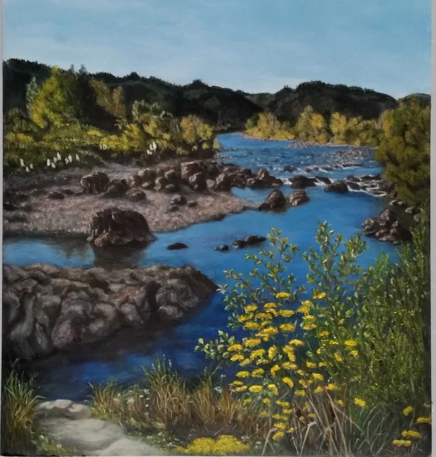 PAM CRYSELL