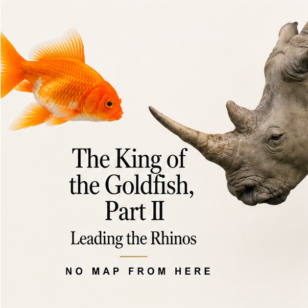 The King of the Goldfish, Part II - Leading the Rhinos