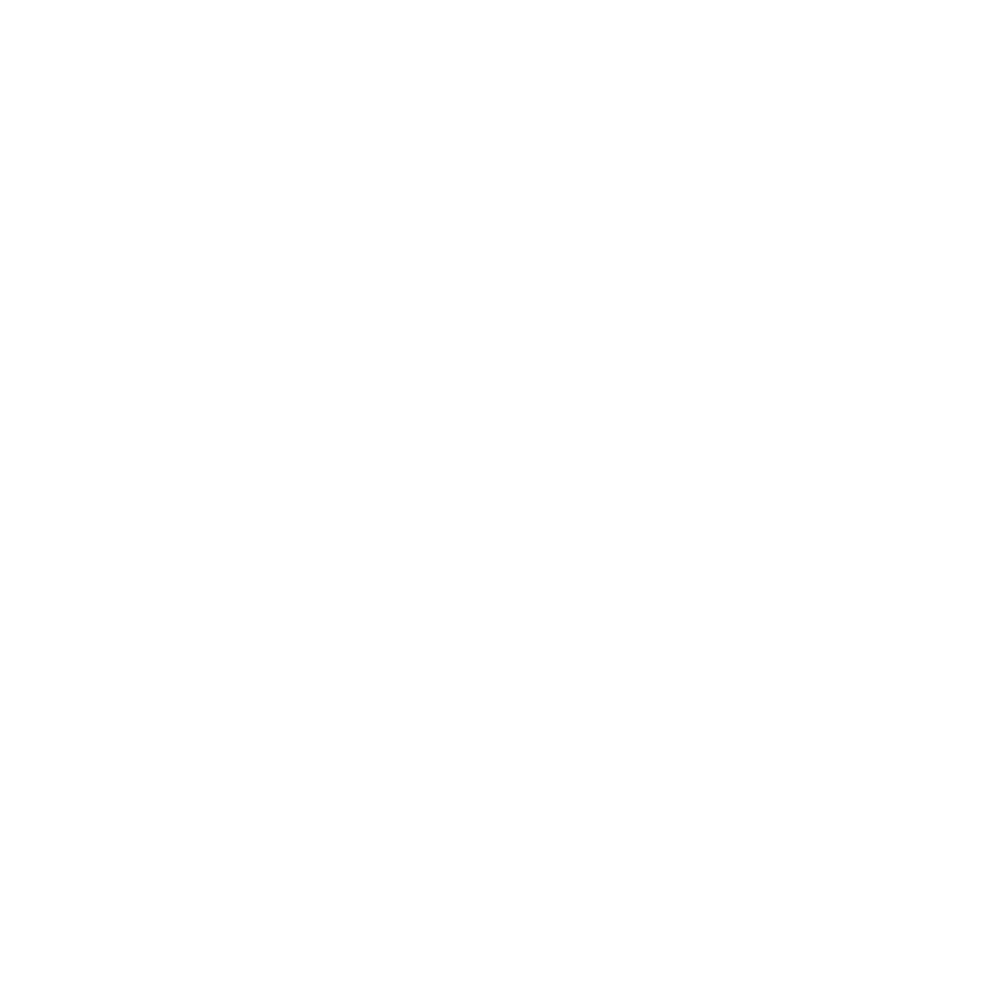 Icon image of a house in white