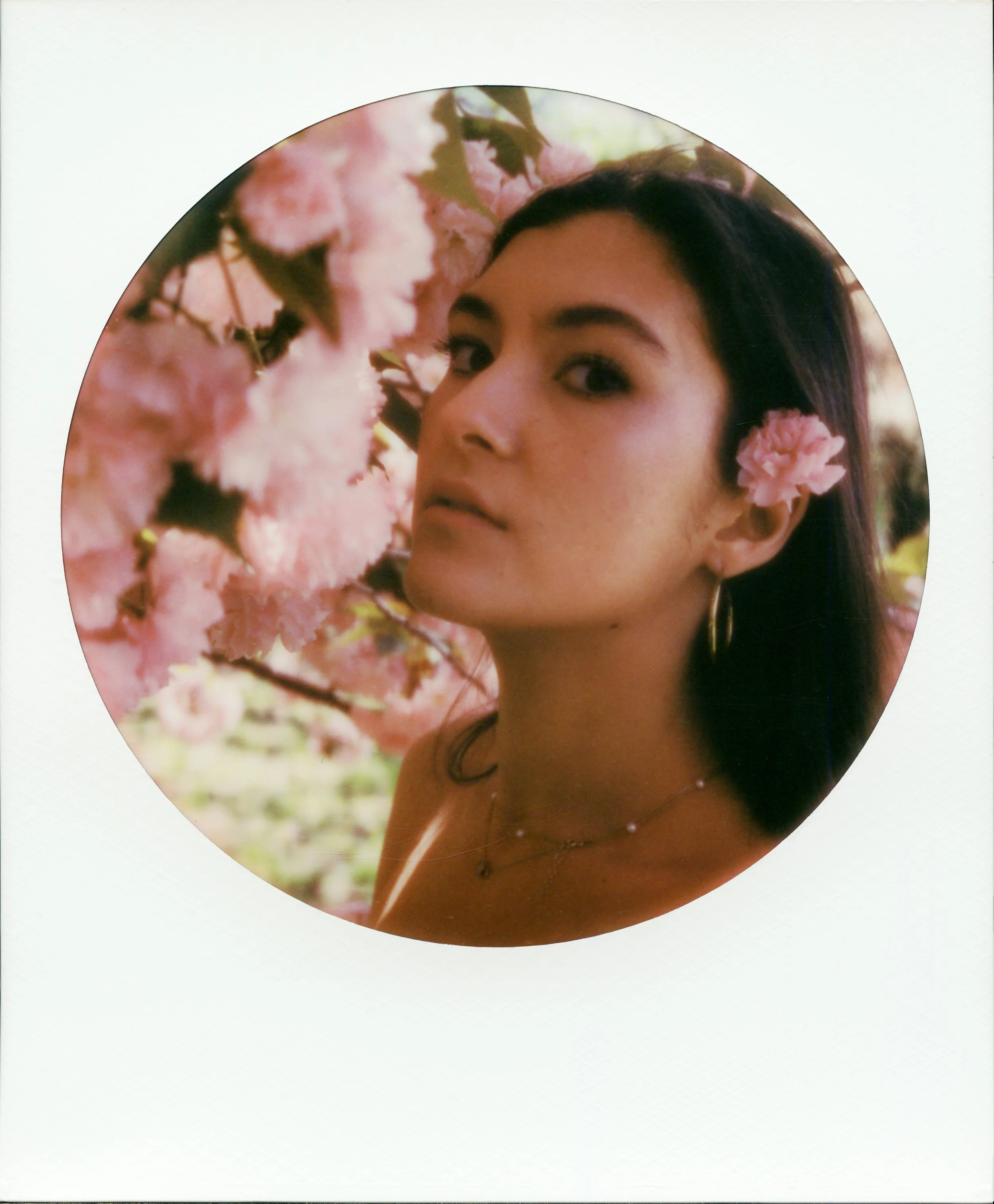 Polaroid001 copy 2.jpg