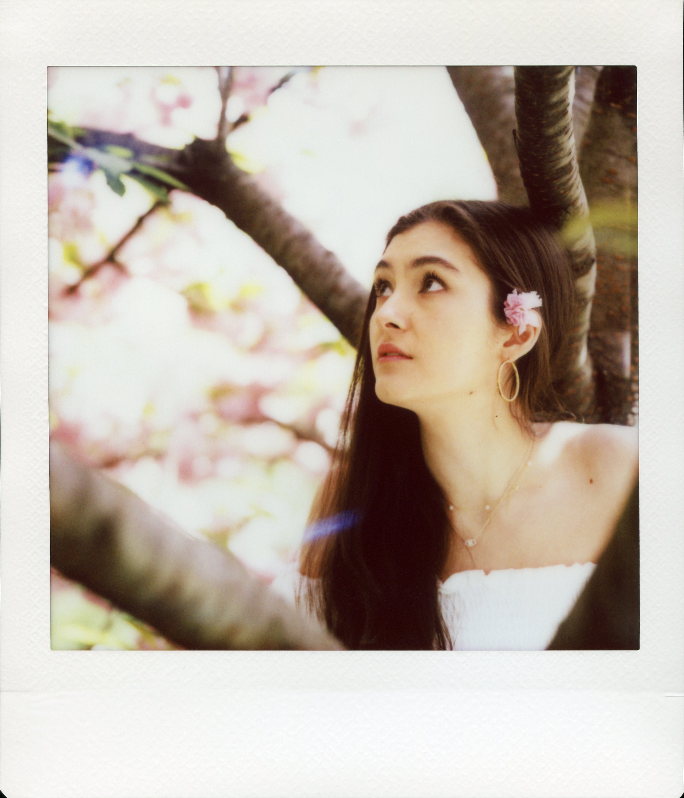 Polaroid007 copy.jpg