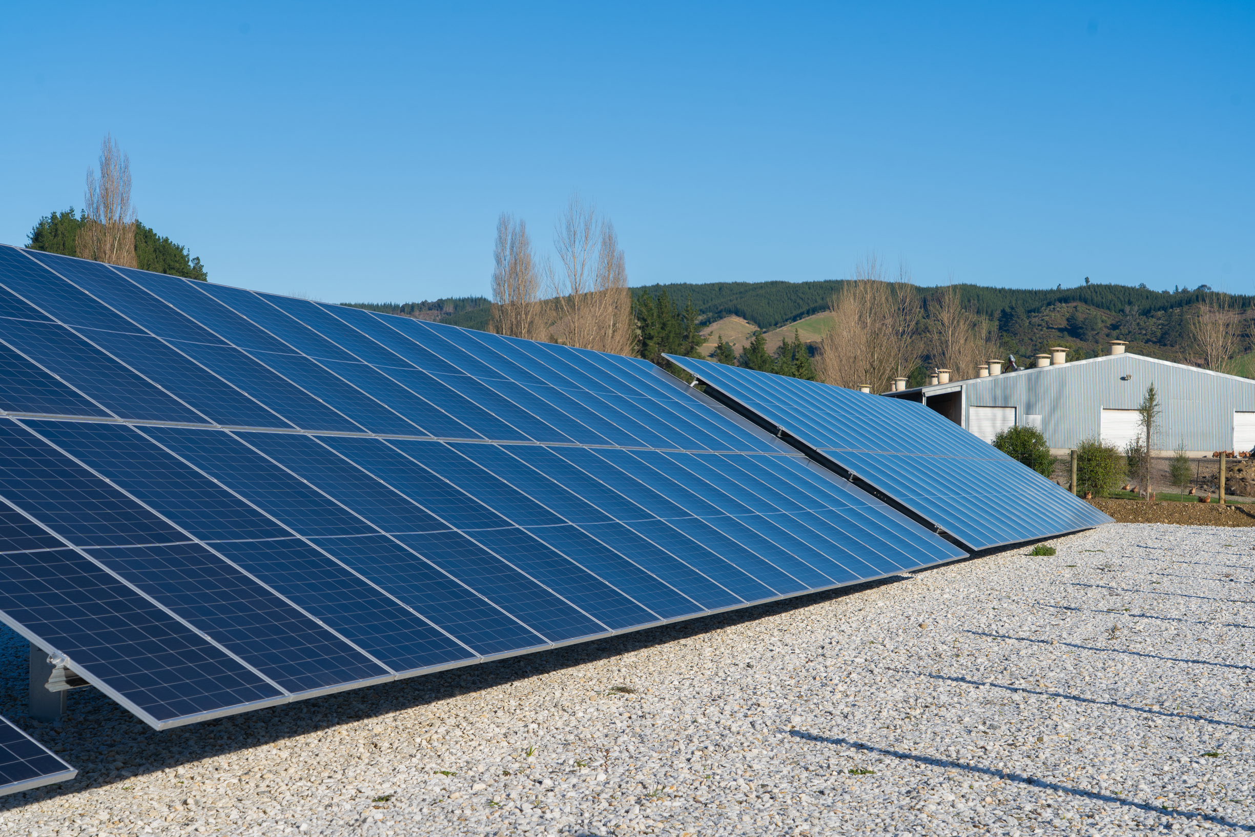 A field of solar panels with a building and trees in the background under a clear blue sky.