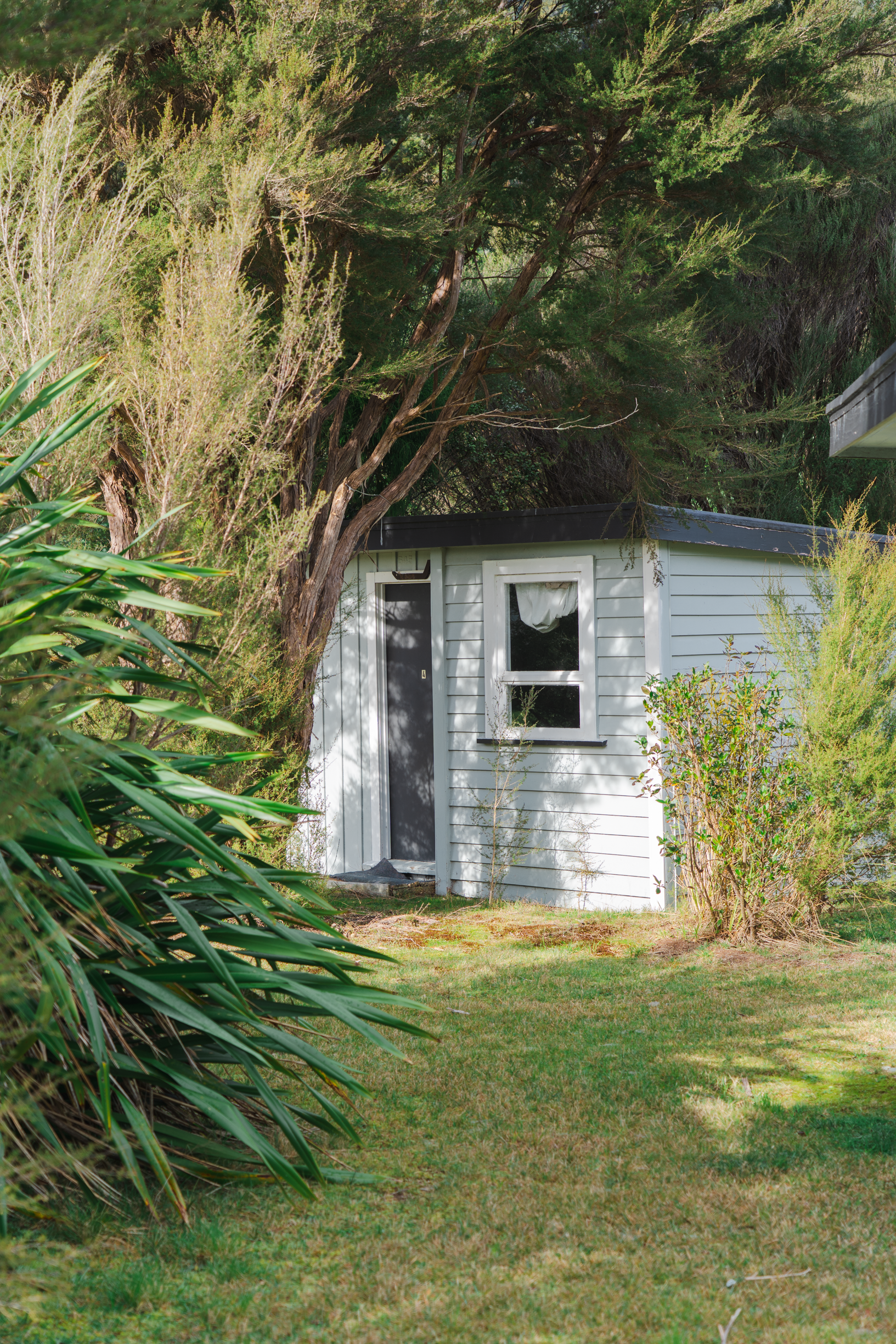RDE_Pelorus-29.png