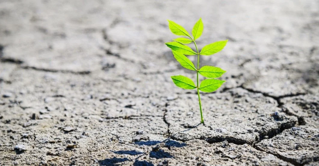 Saving Your Business Through Corporate Restructuring