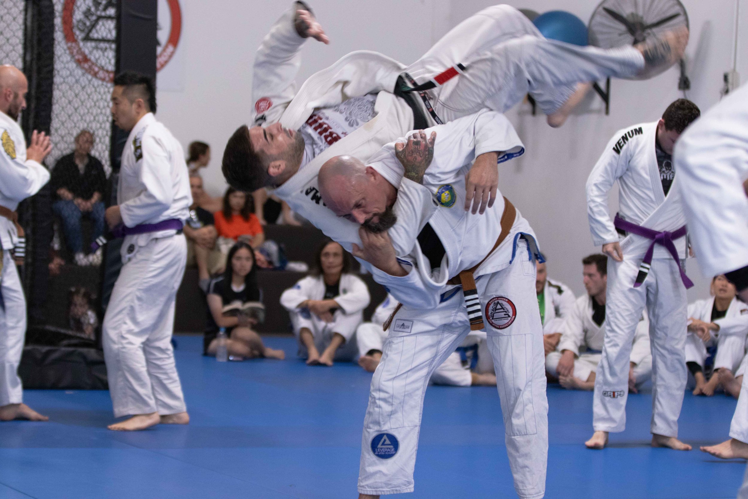 Leverage_Grading_28-02-26-(low_res)-65.jpg