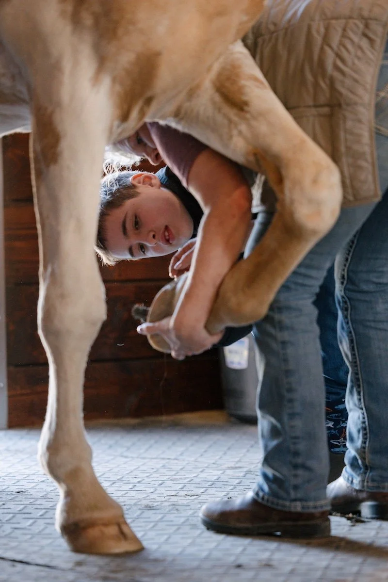 A young boy milking a cow with assistance from an adult in a farm setting.