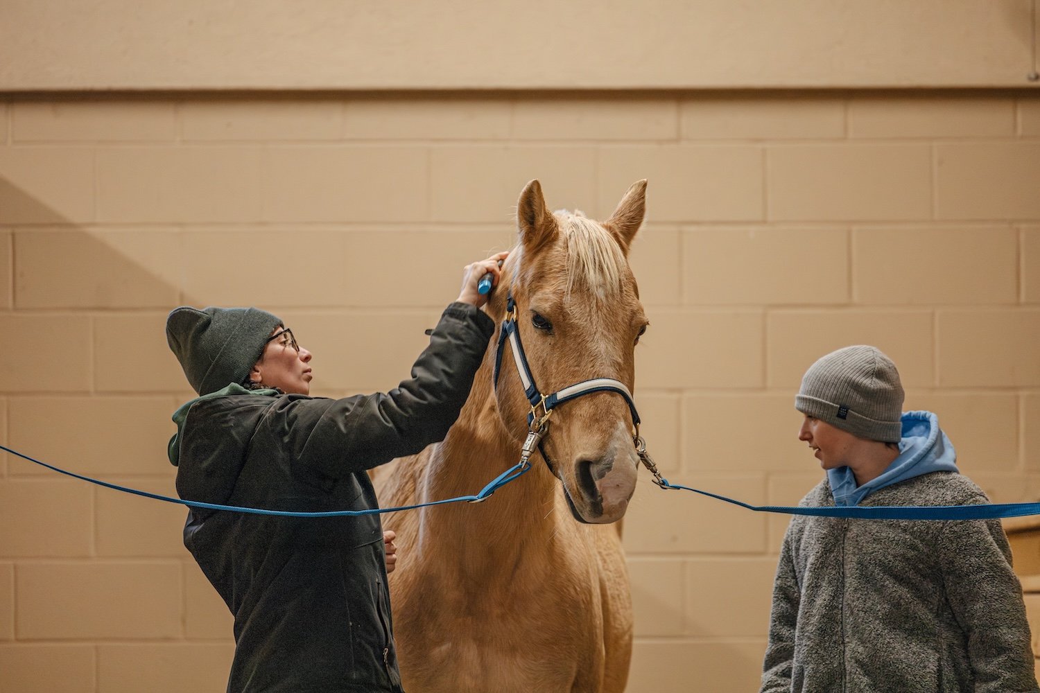 Two young men wearing beanies and jackets stand on either side of a light brown horse with a blue halter, inside an indoor riding arena with beige brick walls. The man on the left is grooming the horse's head with a brush, while the man on the right looks on.