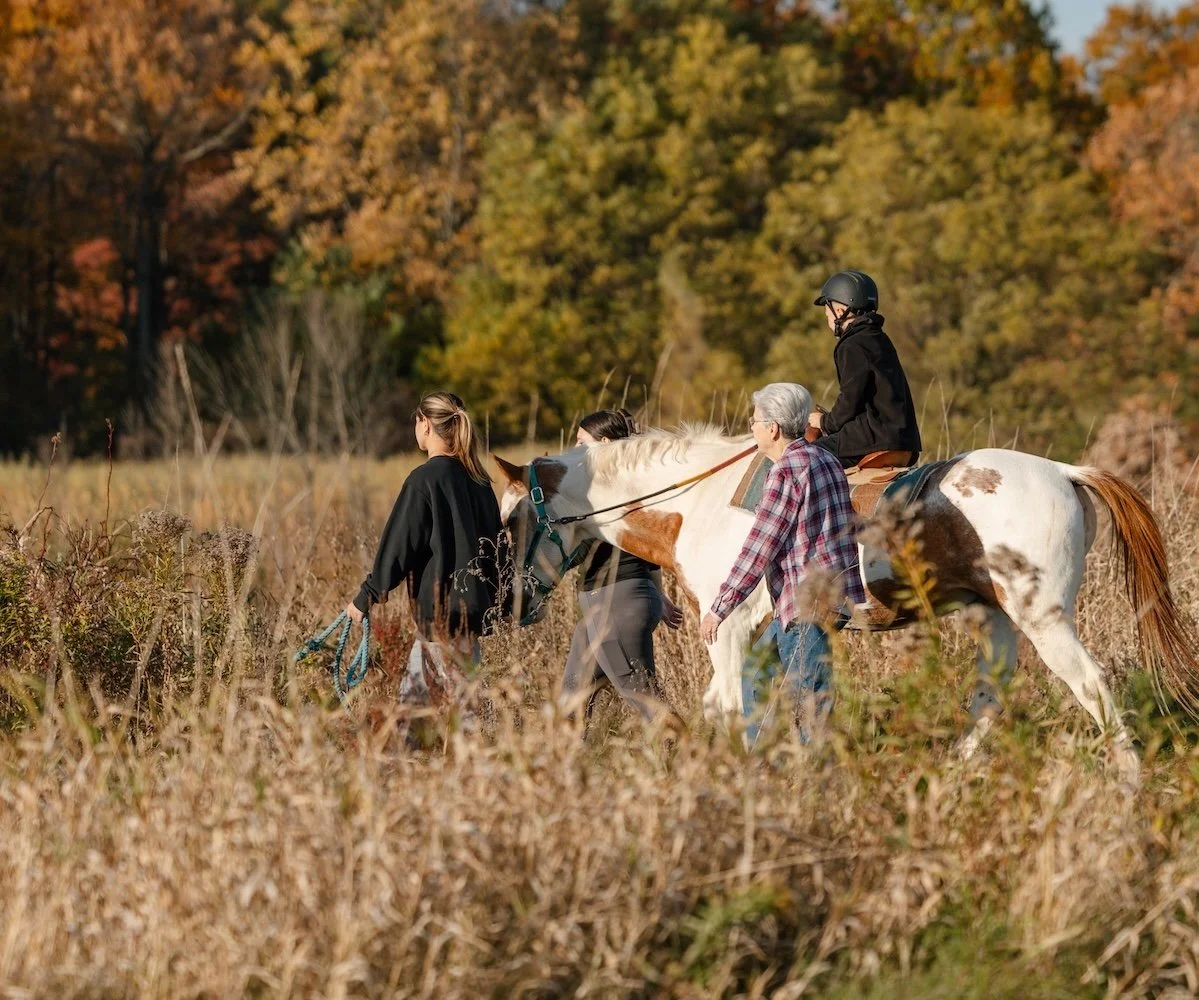 A person riding a white and brown horse through a field with two people leading the horse on a fall day.