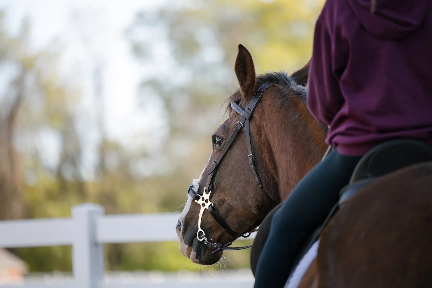 Close-up of a person riding a brown horse with a white blaze, outdoors during daytime, with a white fence in the background.