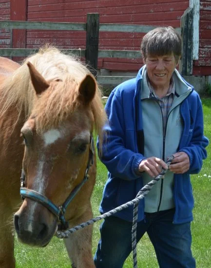 A person holding a rope attached to a brown horse on a grass field, with a red wooden fence in the background.