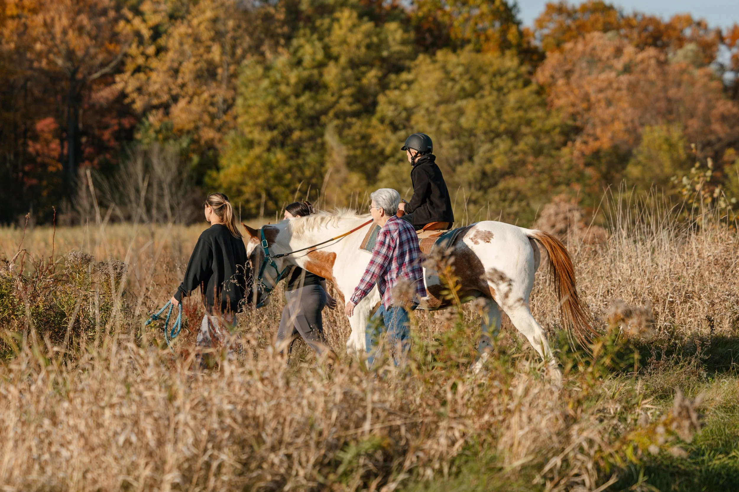A person riding a white horse with brown patches through a field of dried grass during autumn, accompanied by a woman and another person with gray hair, all walking amidst fall foliage.