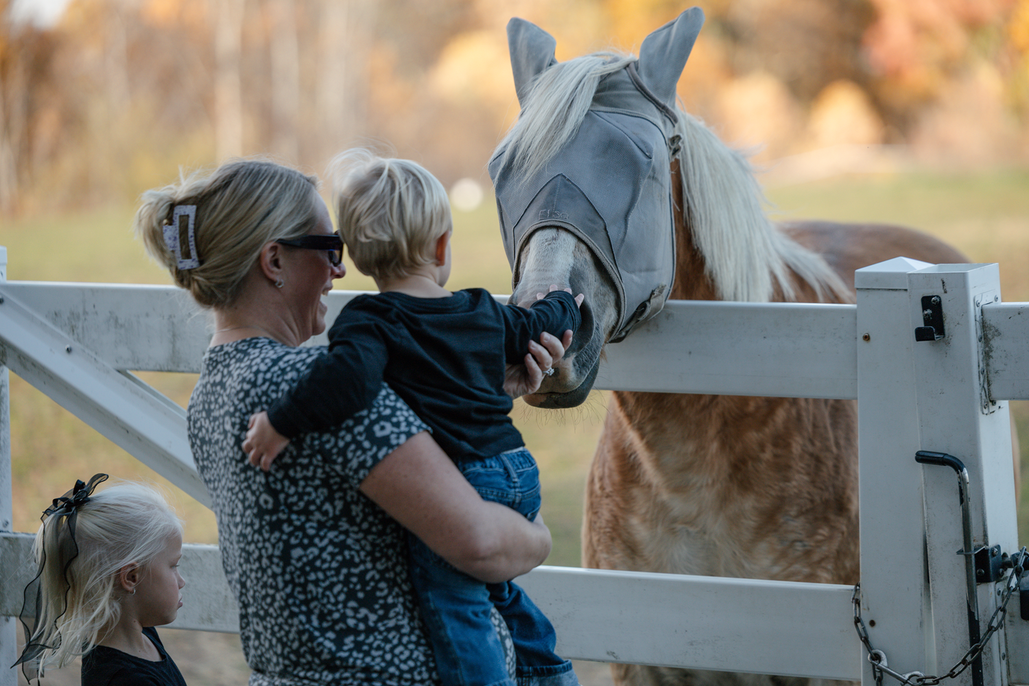 Woman holding a young boy reaching out to pet a white horse with a gray face, wearing a fly mask, at a farm or petting zoo, with a young girl standing nearby.