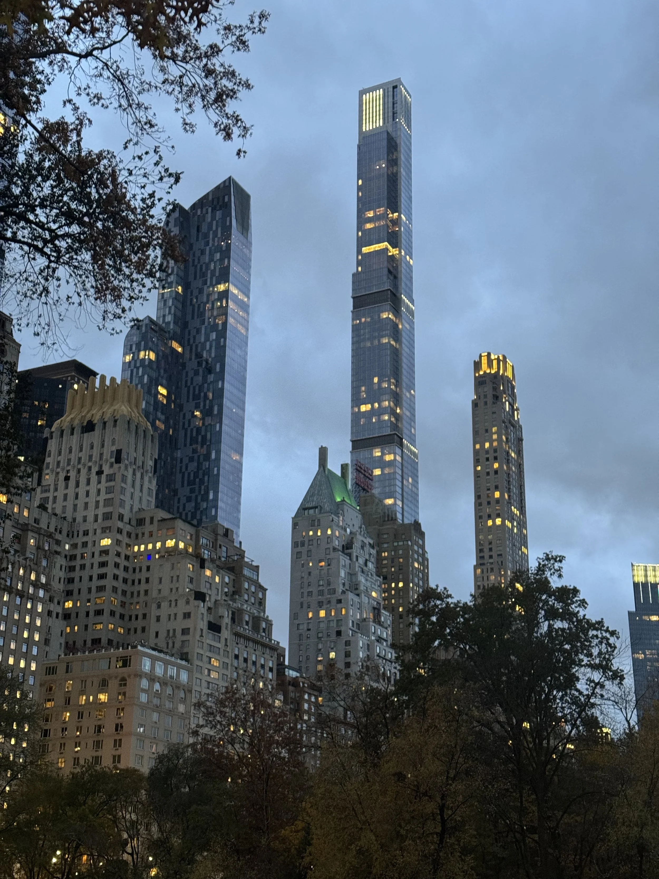 View of tall skyscrapers in a city with some trees in the foreground during dusk or evening. The buildings are illuminated with lights, and the sky is mostly cloudy.