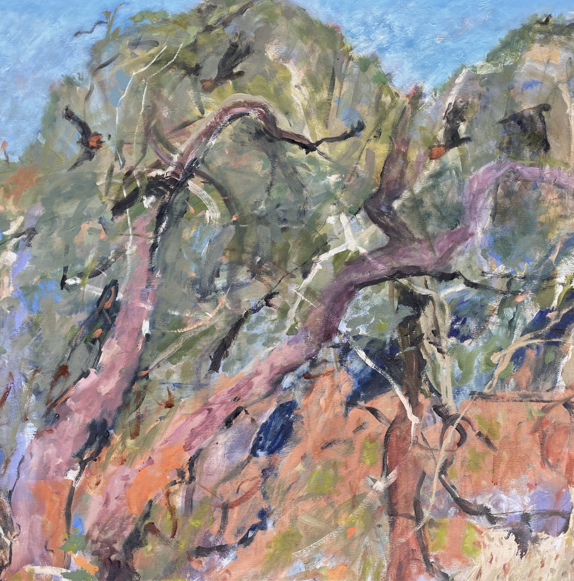 Clare Purser • Glass House Mountains with Glossy Black Cockatoos  • oil on canvas • 100 x 100 cm • $4800