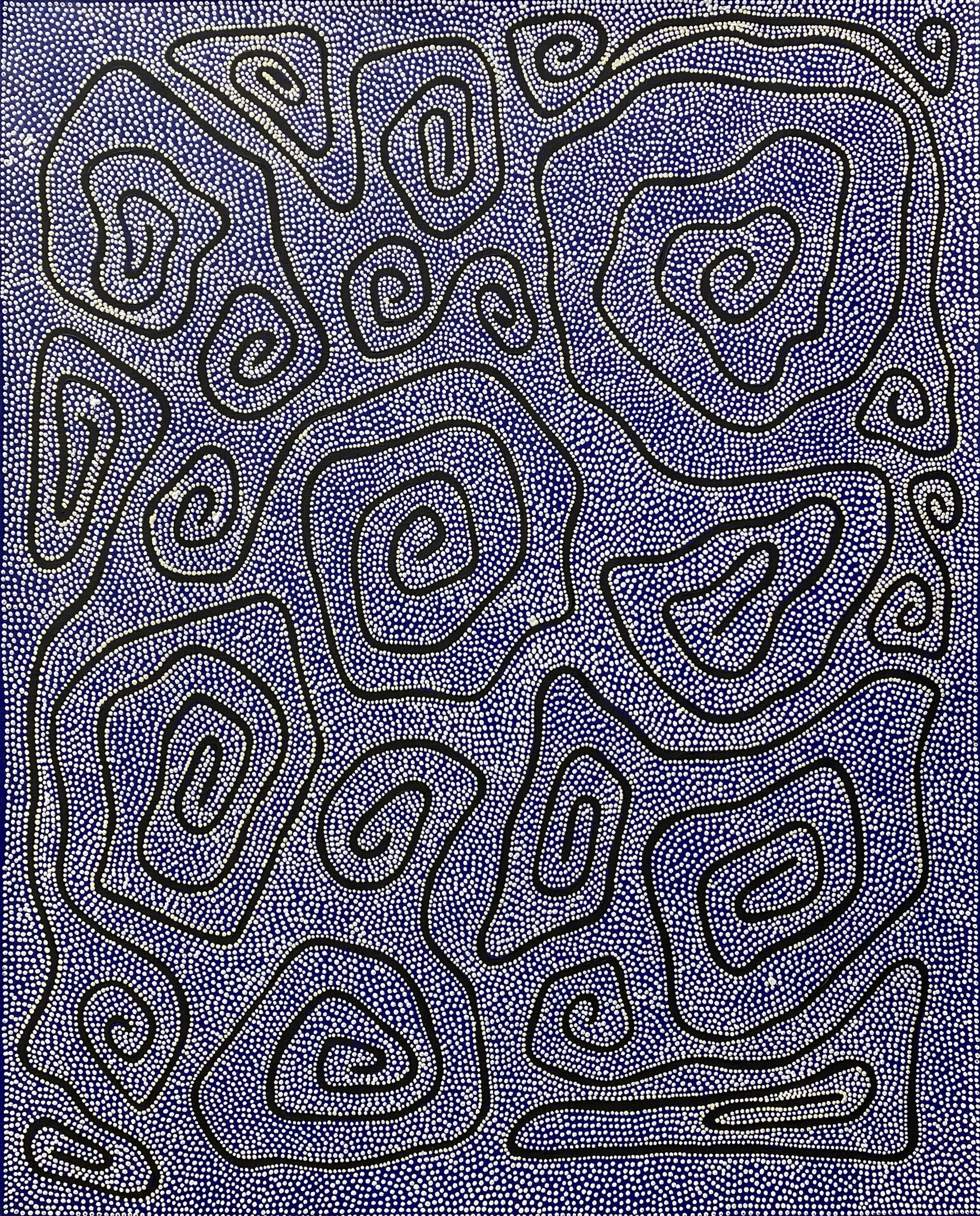 Stephanie Naurrurla Nelson • Yarla Jukurrpa (bush potato dreaming) - yumurrpa • acrylic on linen • 91 x 76 cm • $1990