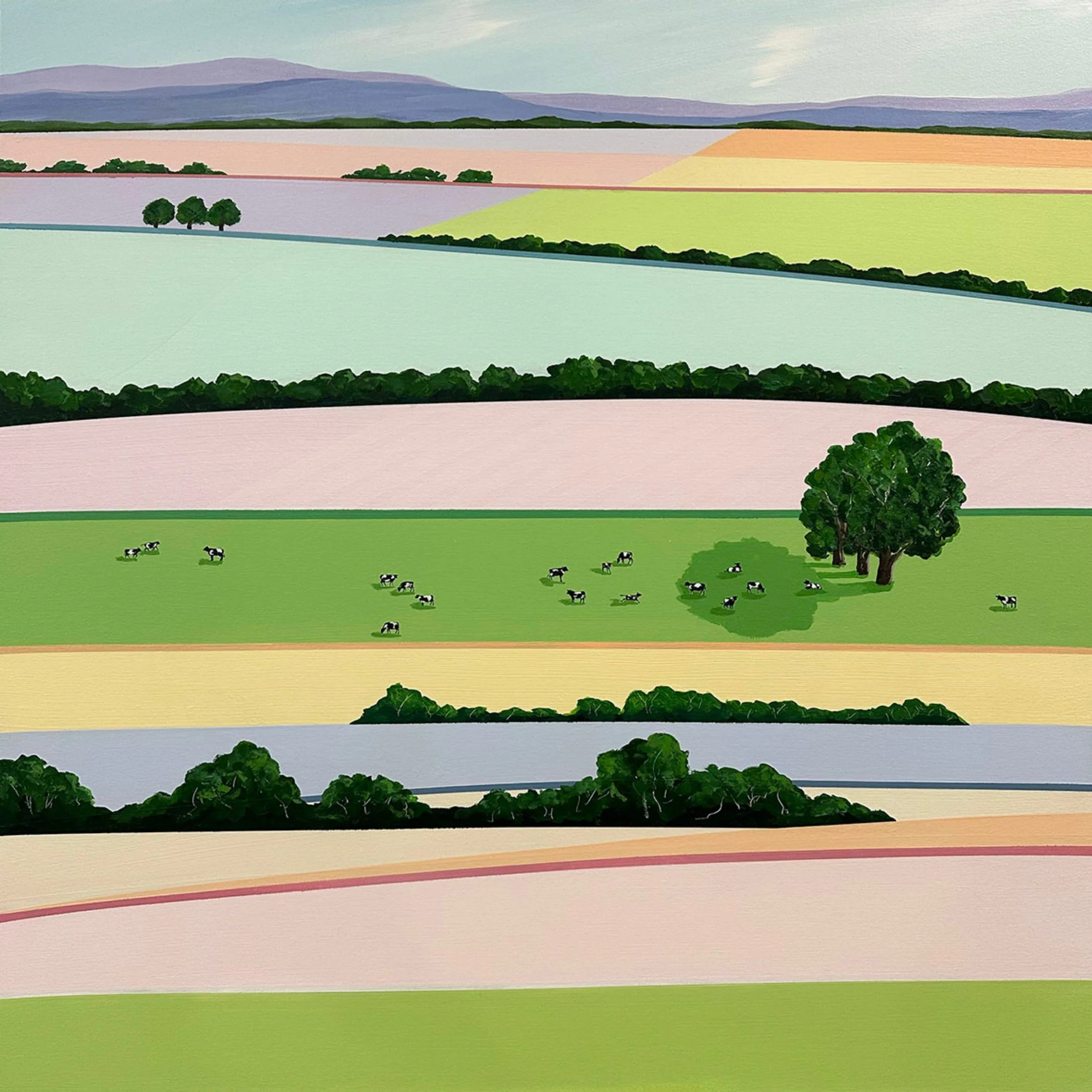 Fiona Chivers • cows in the long paddock • acrylic on canvas • 85 x 85 cm • $1800