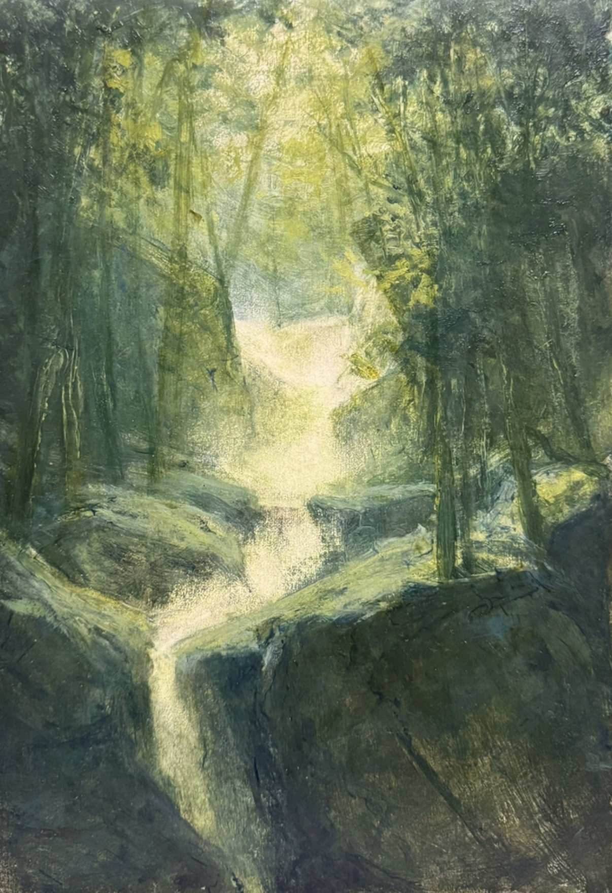 Zac Moynihan • Springbrook mists • oil on paper • 30 x 21 cm • $1,400