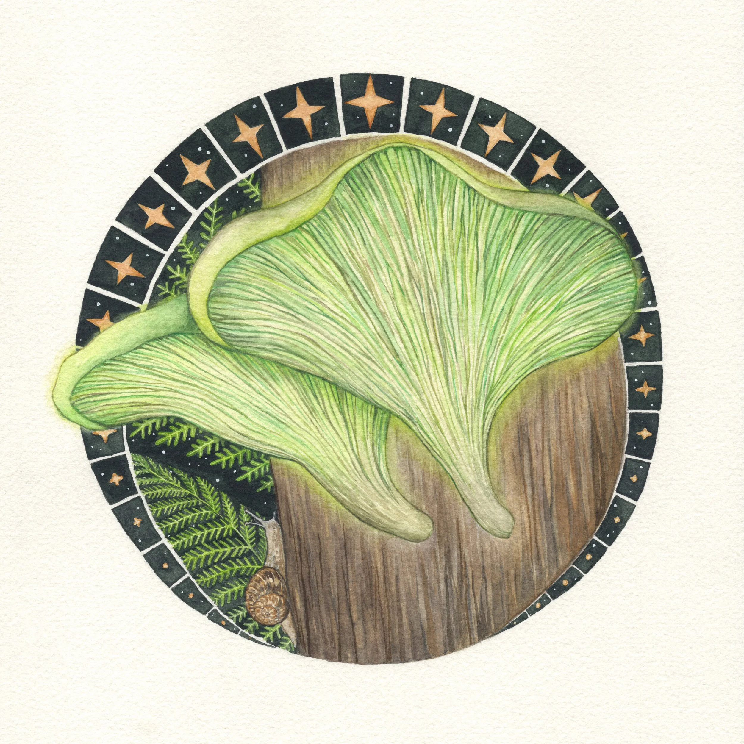 Ingrid Bartkowiak • ghost fungus • watercolour • 30.4 x 30.4 cm • $600