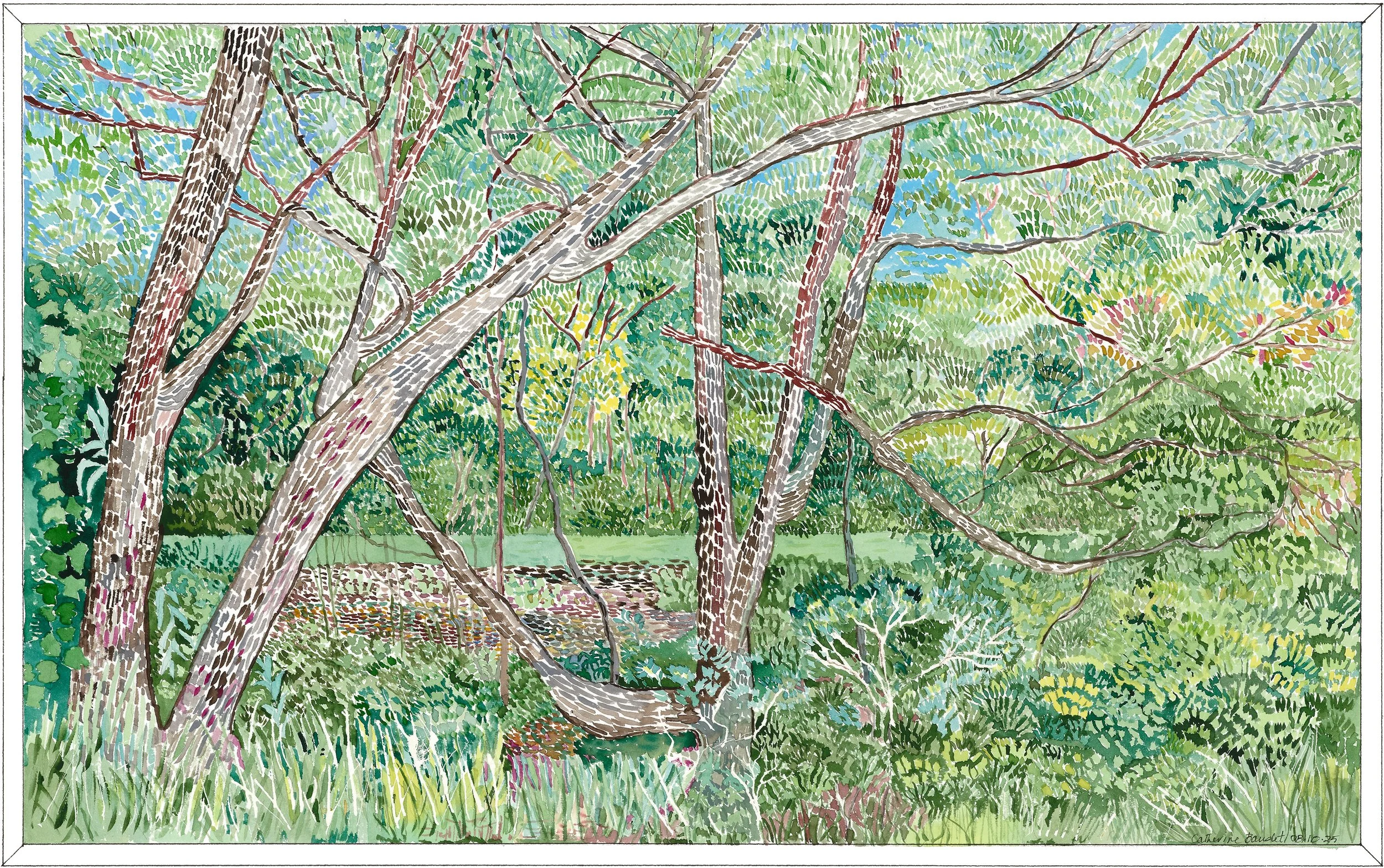 
Catherine Baudet     •     a quiet space     •     water colour     •     80 x 55 cm     •     $1,800
