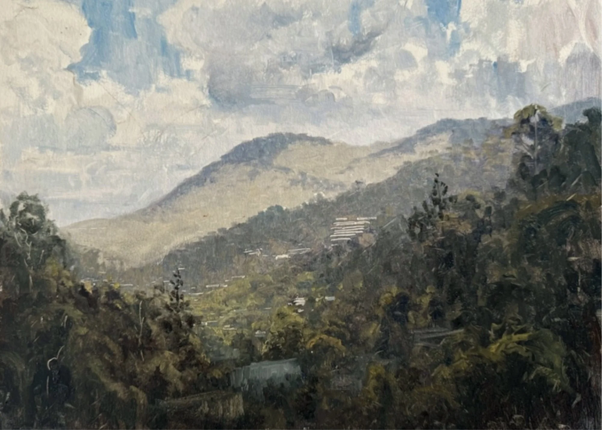 Zac Moynihan • view to Stuartholme • oil on paper • 30 x 42 cm • $1600