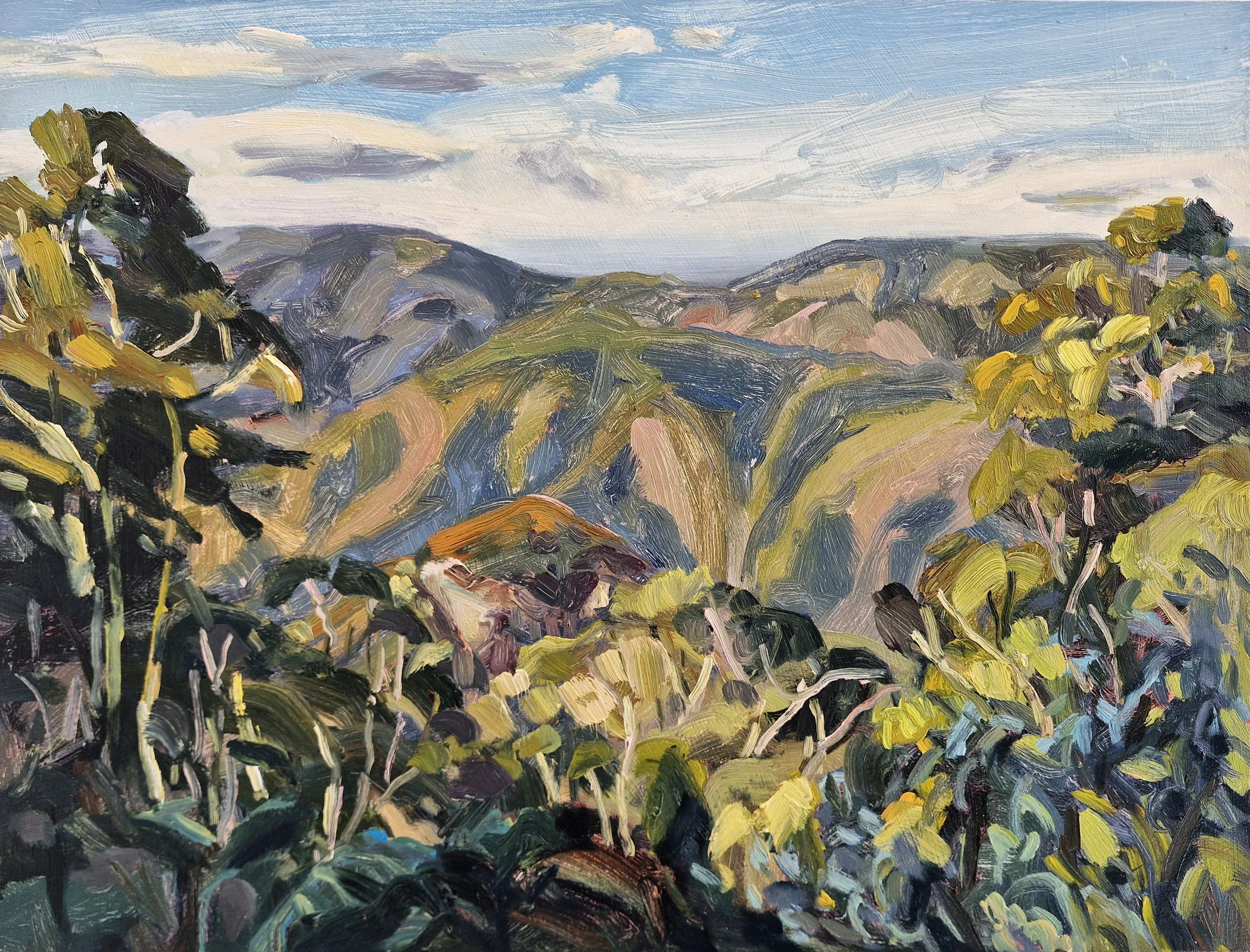 Kate Marek • Binna Burra Outlook • oil on aluminum (framed in oak) • 42 x 55 cm • $1200