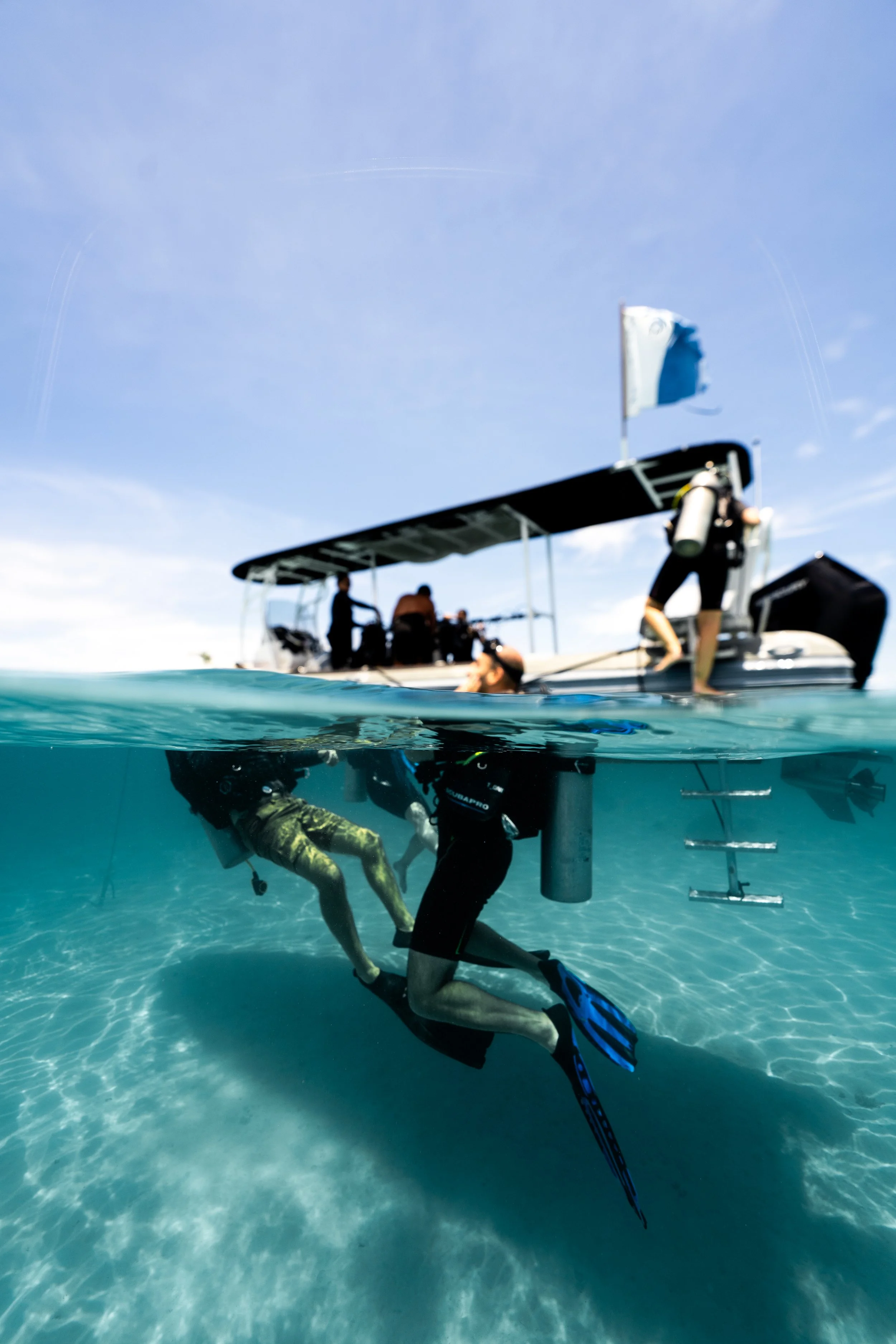 DIVE AND SEA