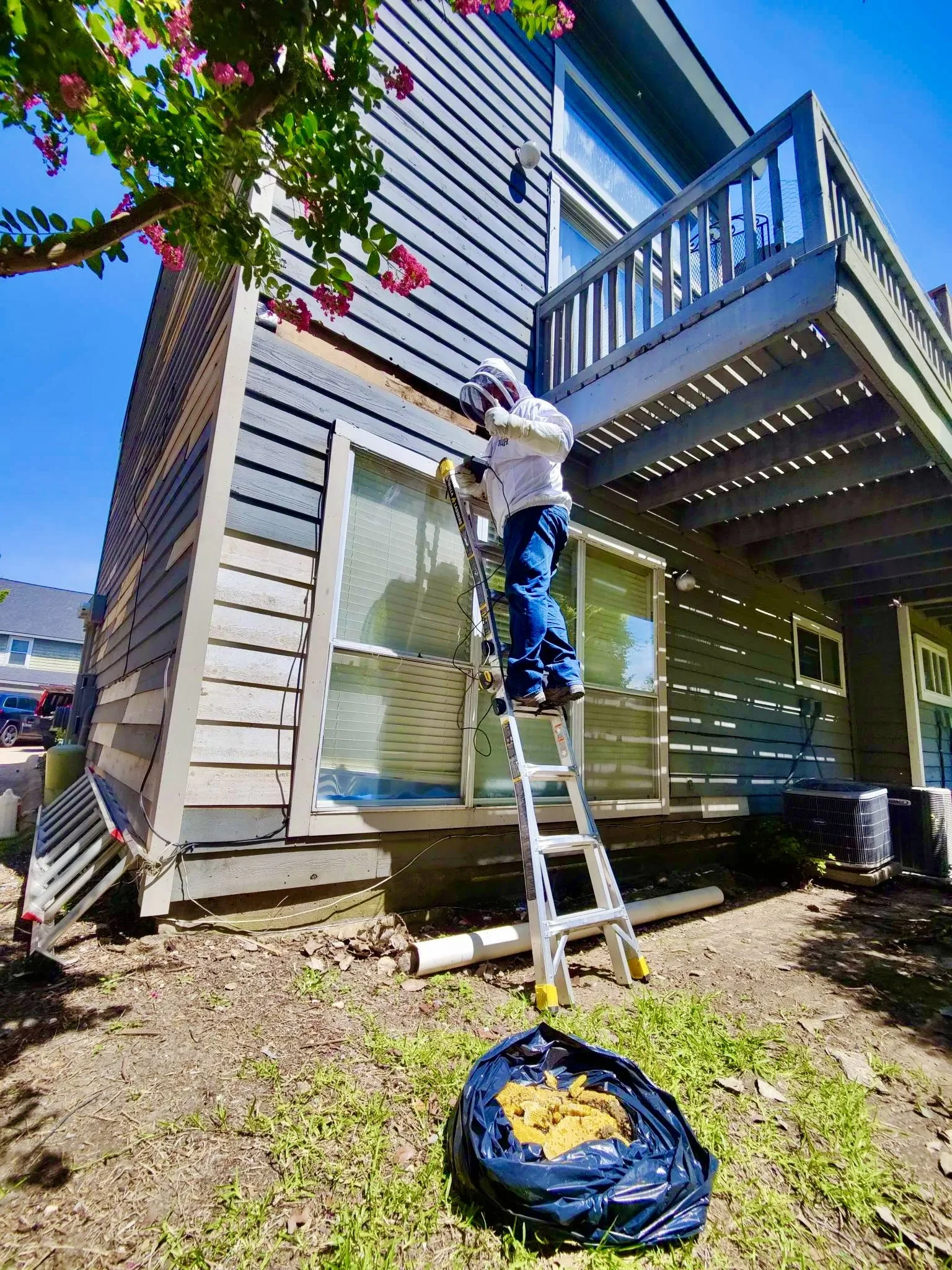 A person dressed in protective gear, including a helmet with a face shield, working on the exterior of a house, possibly doing bee removal service. There is a ladder, some household tools, and a bag of yellow insulation or debris in the foreground.