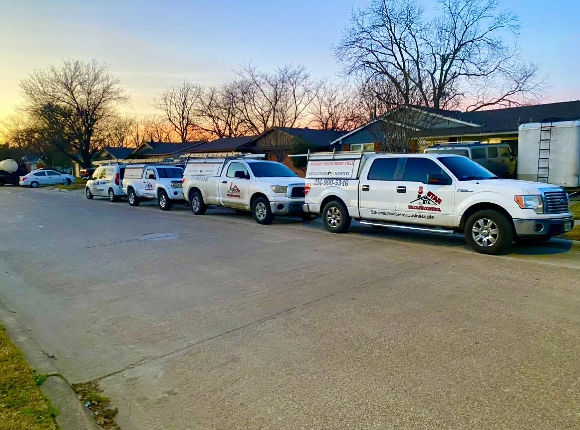 A row of service vehicles, including trucks and vans with company logos, parked along a residential street during sunset with leafless trees and houses in the background.