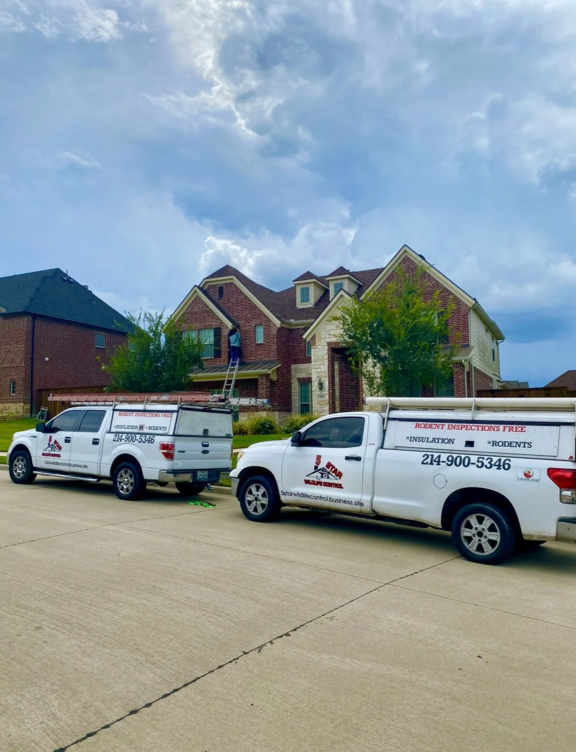 Two white trucks parked in front of a large brick house with a man on a ladder inspecting or working on the house exterior. The trucks have signs for a rodent control and insulation service.