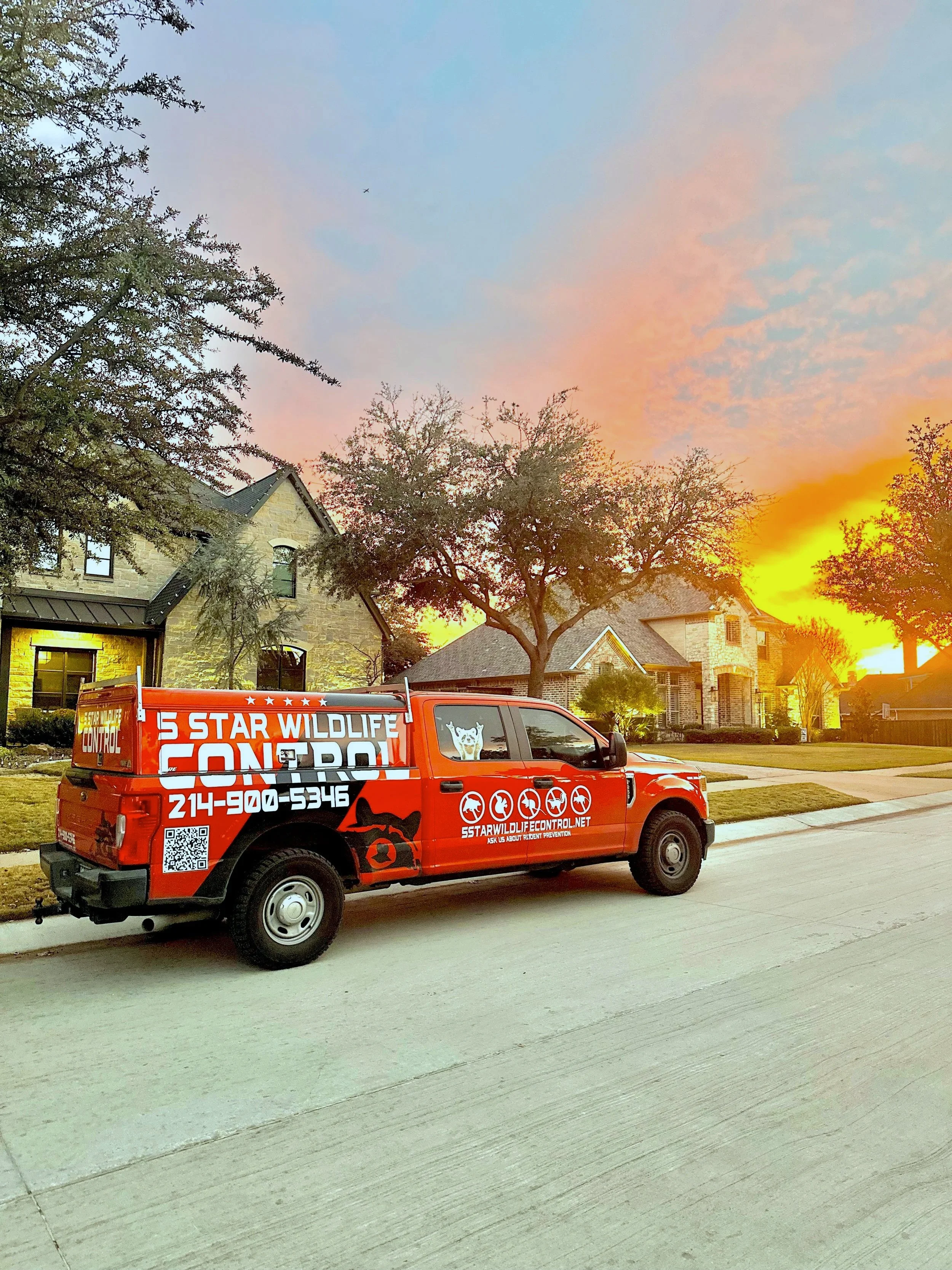 Red animal control truck parked in front of suburban houses at sunset, with trees and a colorful sky in the background.
