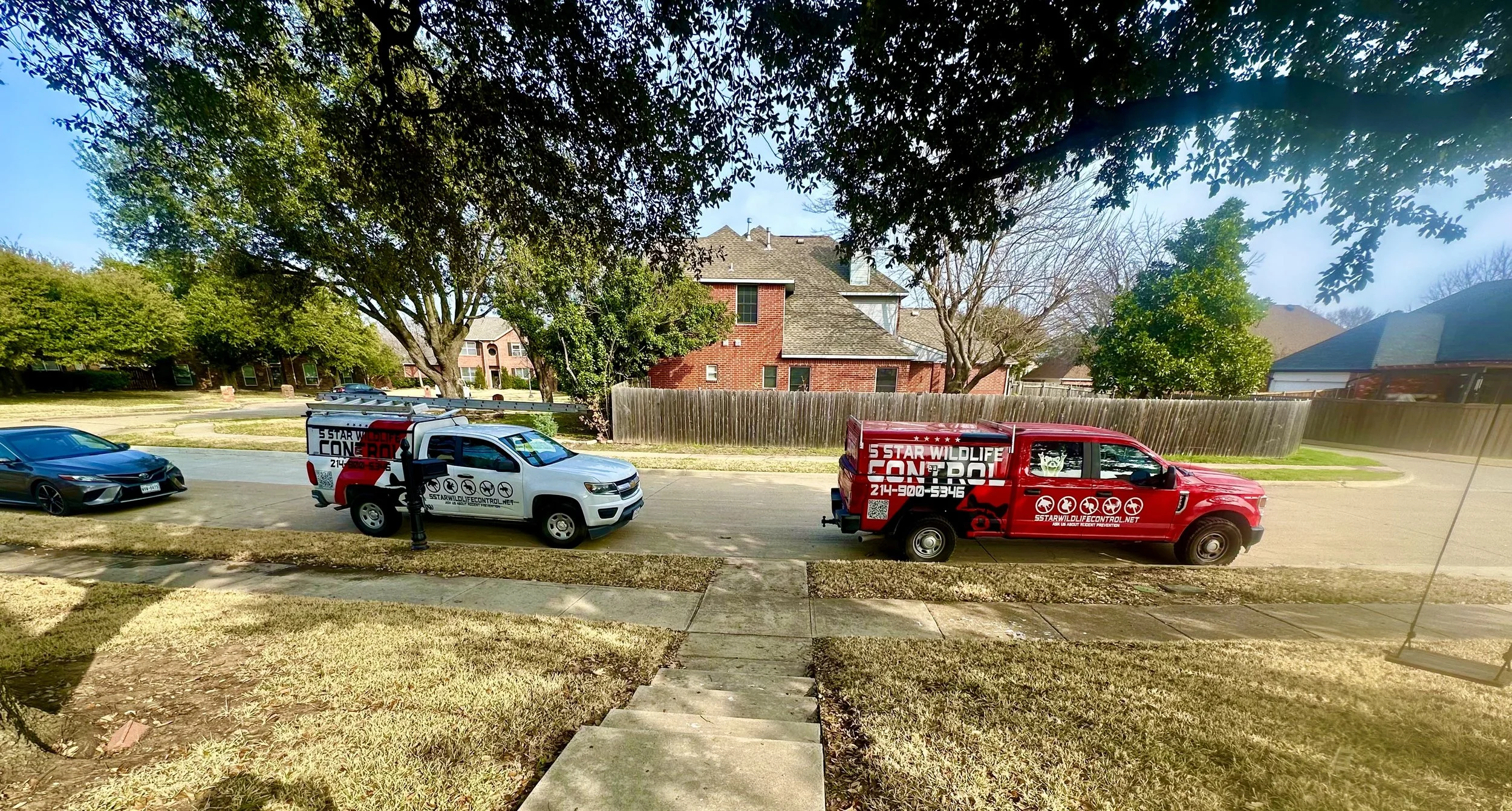 Two trucks parked on a residential street, one red and one white, both advertising wildlife control services, with a black car parked nearby, in front of a house with tall trees and a wooden fence.