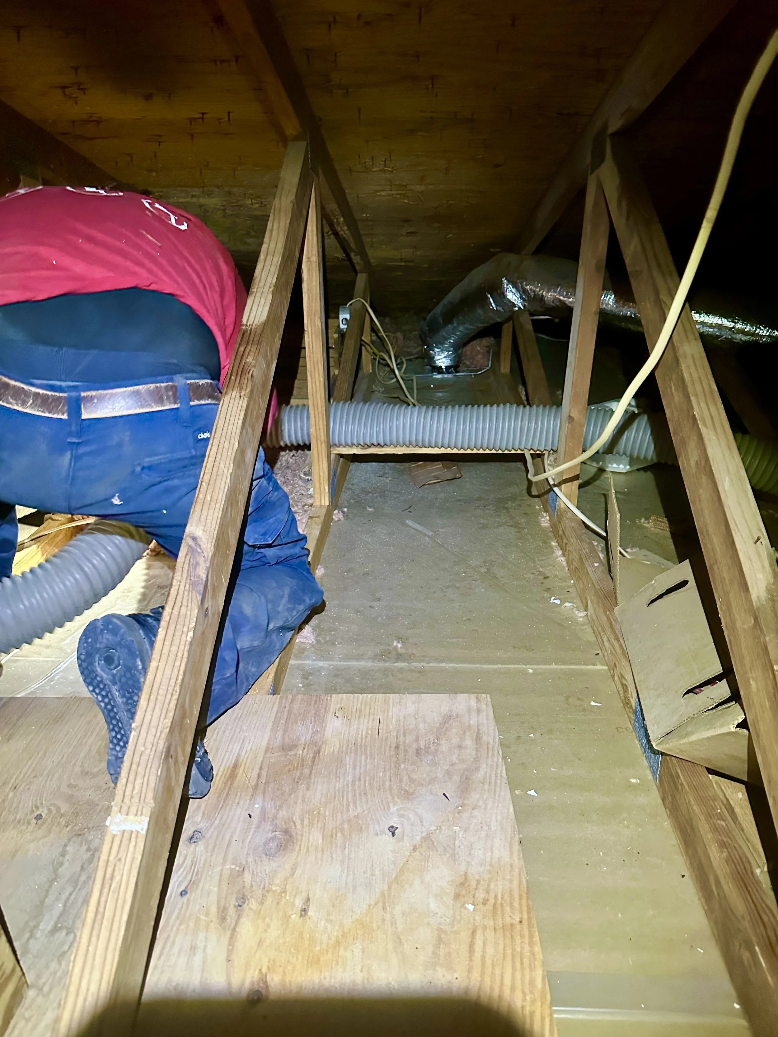 Attic with wooden beams, ductwork, and a person crawling on insulation in the floor. during insulation removal 