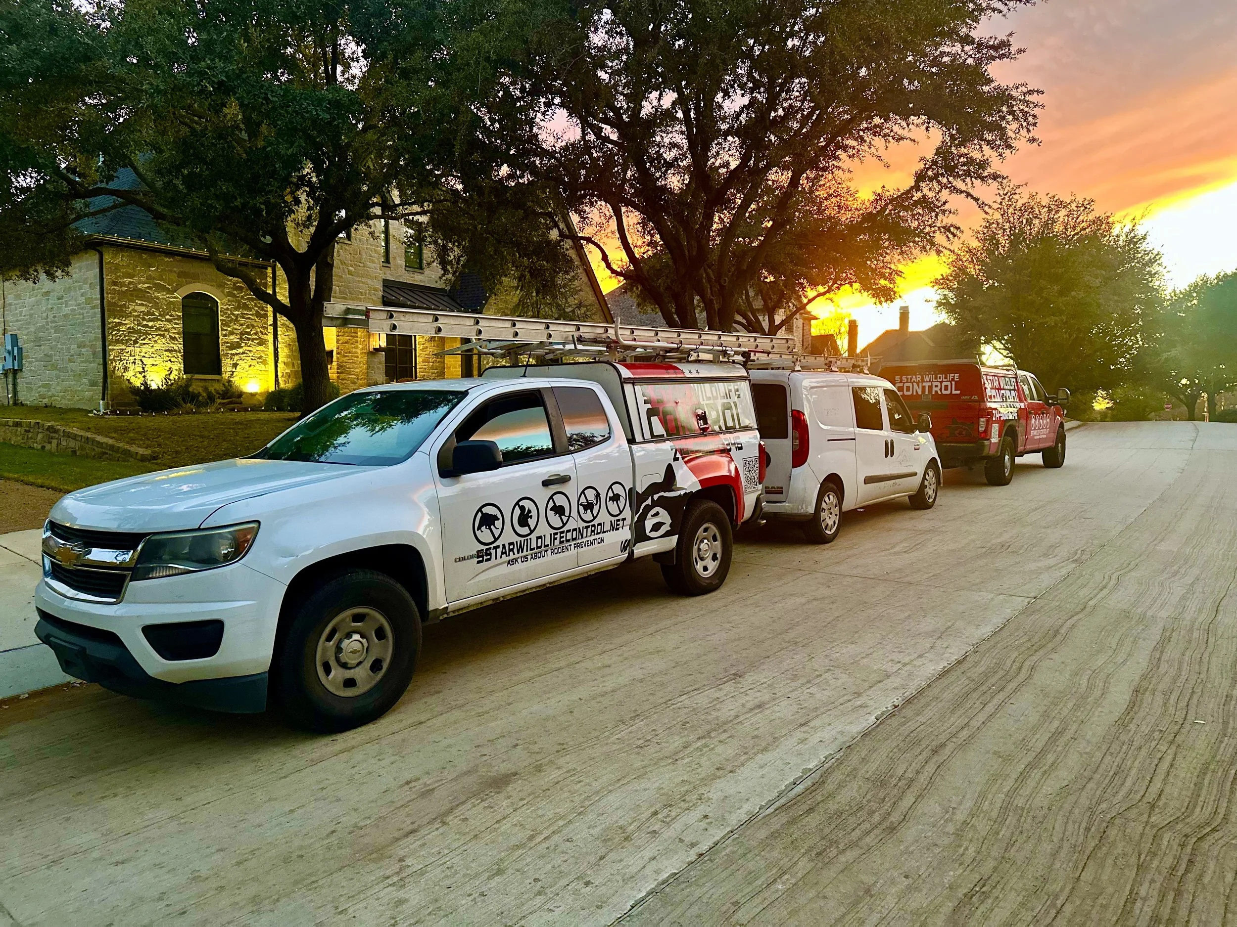 A row of wildlife service vehicles parked on a residential street with trees and a house in the background during sunset.