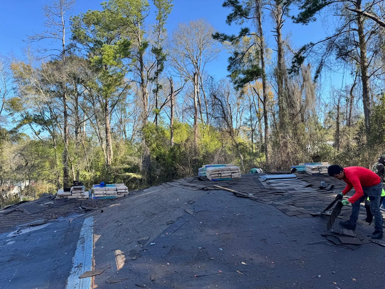 Worker repairing a residential roof with shingles, with a background of tall trees and a clear blue sky.