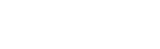 ANM VUE &amp; INS