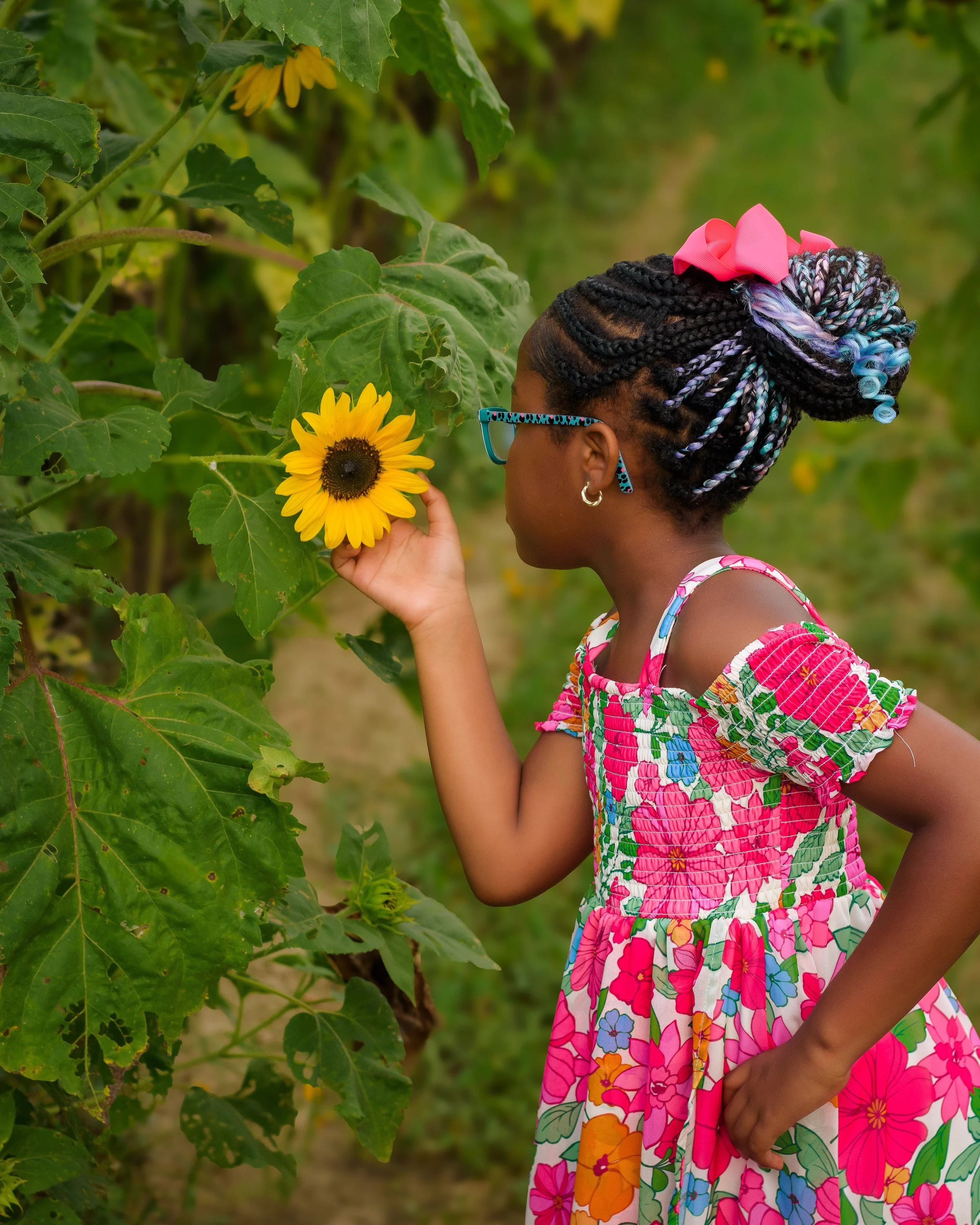 WW-Sunflower-05.jpg