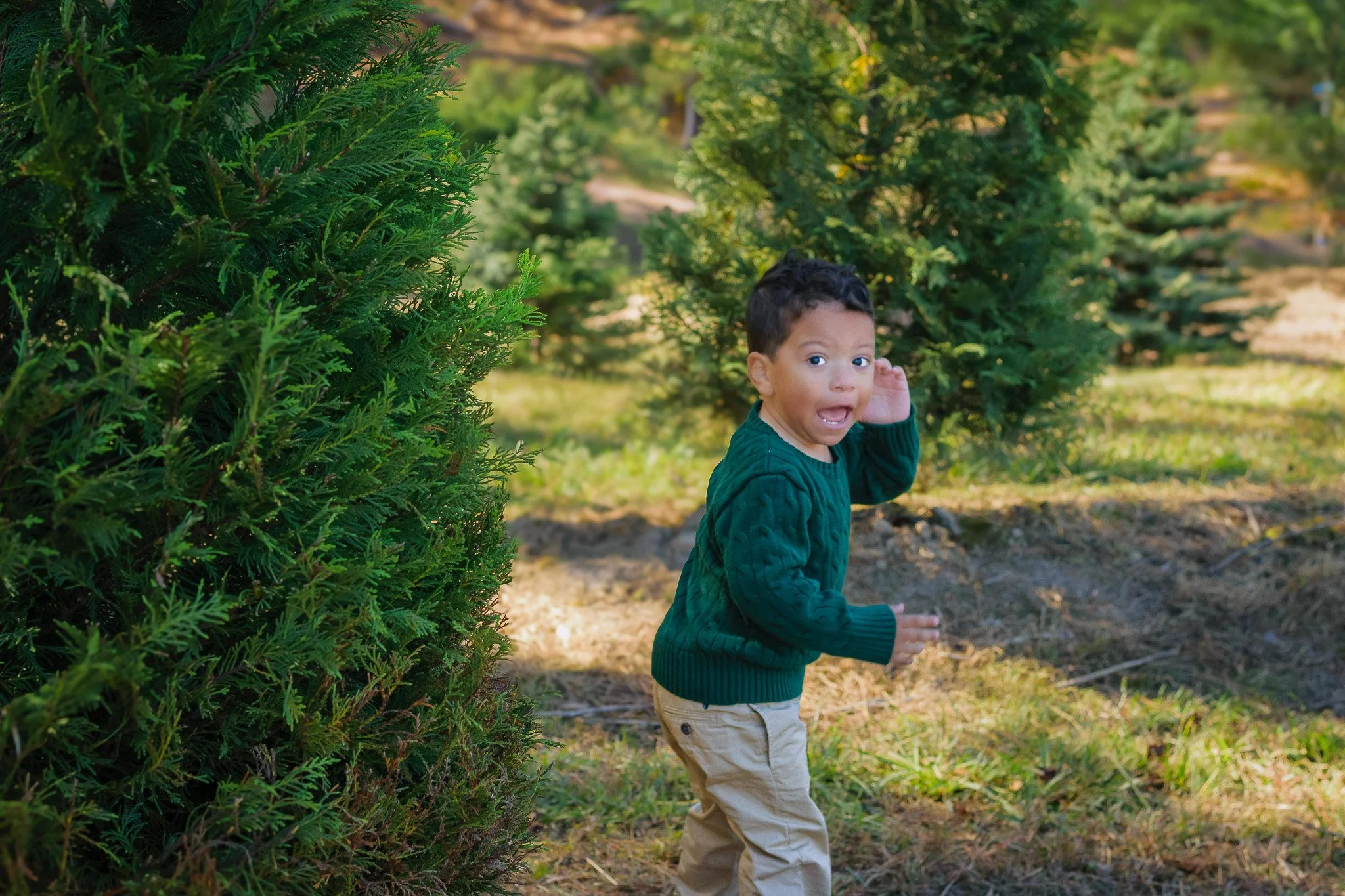Christmas-tree-3.jpg