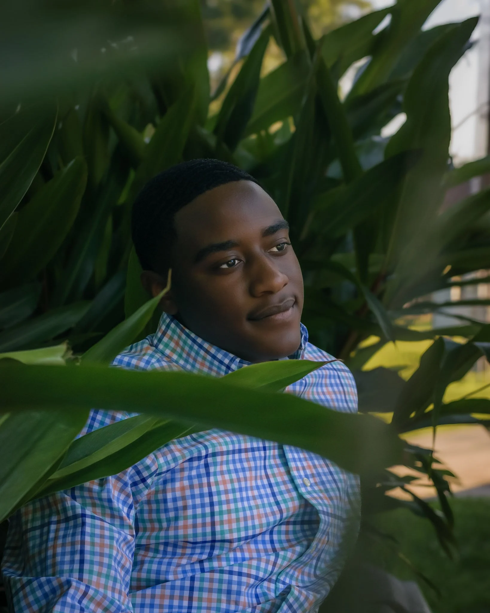 A young man with short dark hair and a checkered shirt is partially visible among large green leaves.