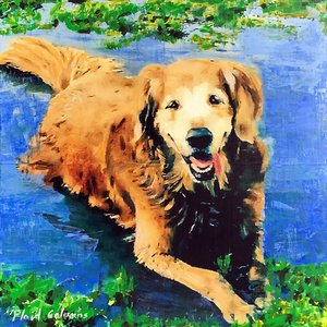 PC15_BAILEY_20x20_s.jpg