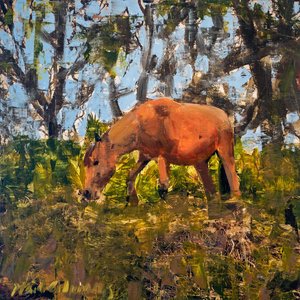 PC17_CUMBERLAND-HORSE_3800_16x16_s.jpg