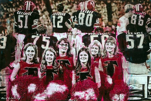 PC18_GO-FALCONS_4594_24x36_s.jpg