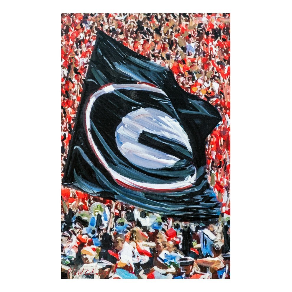 PC22_UGA-FLAG_2368_22x14_IG.jpg