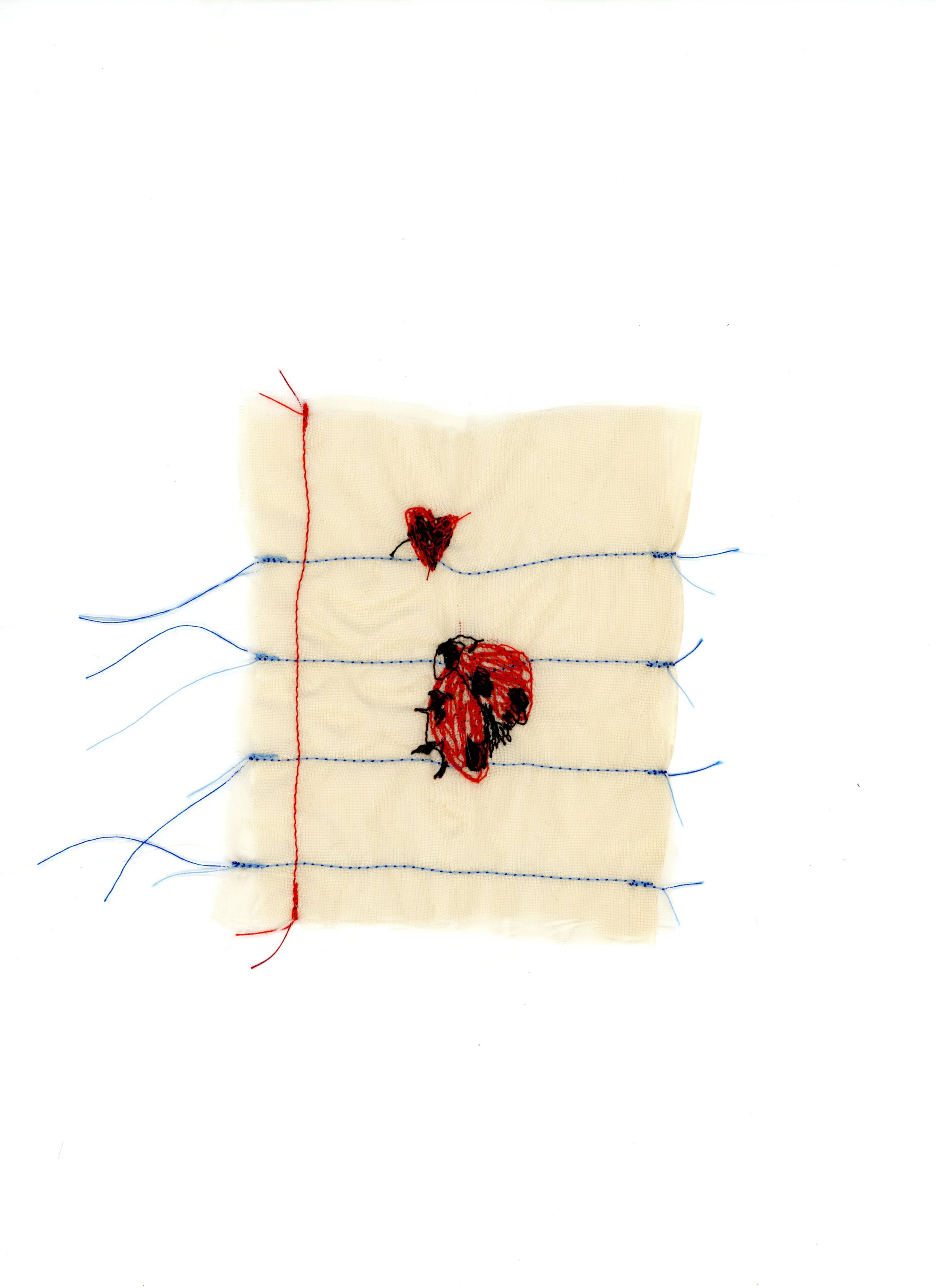 Ladybug