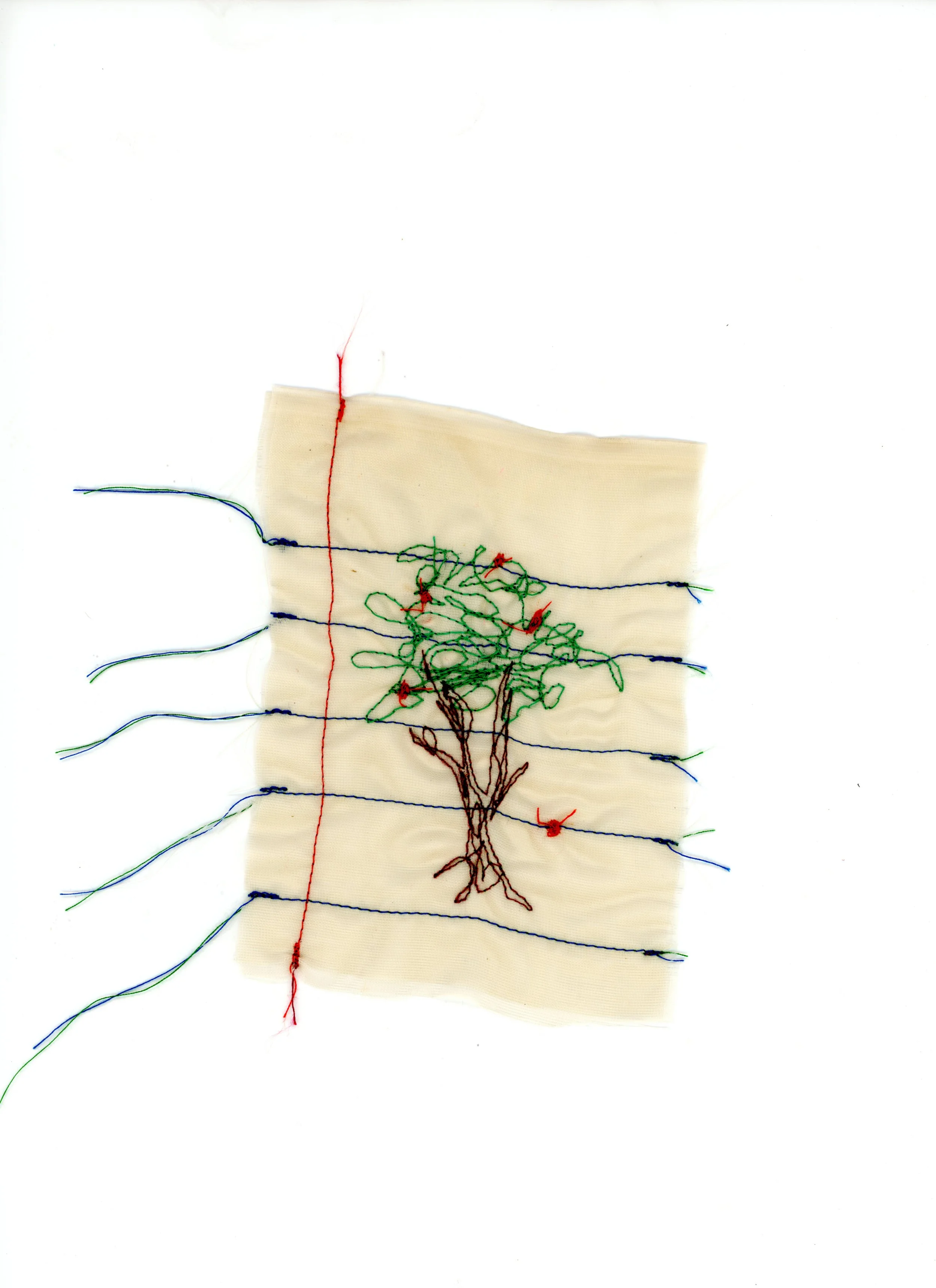 Apple Tree