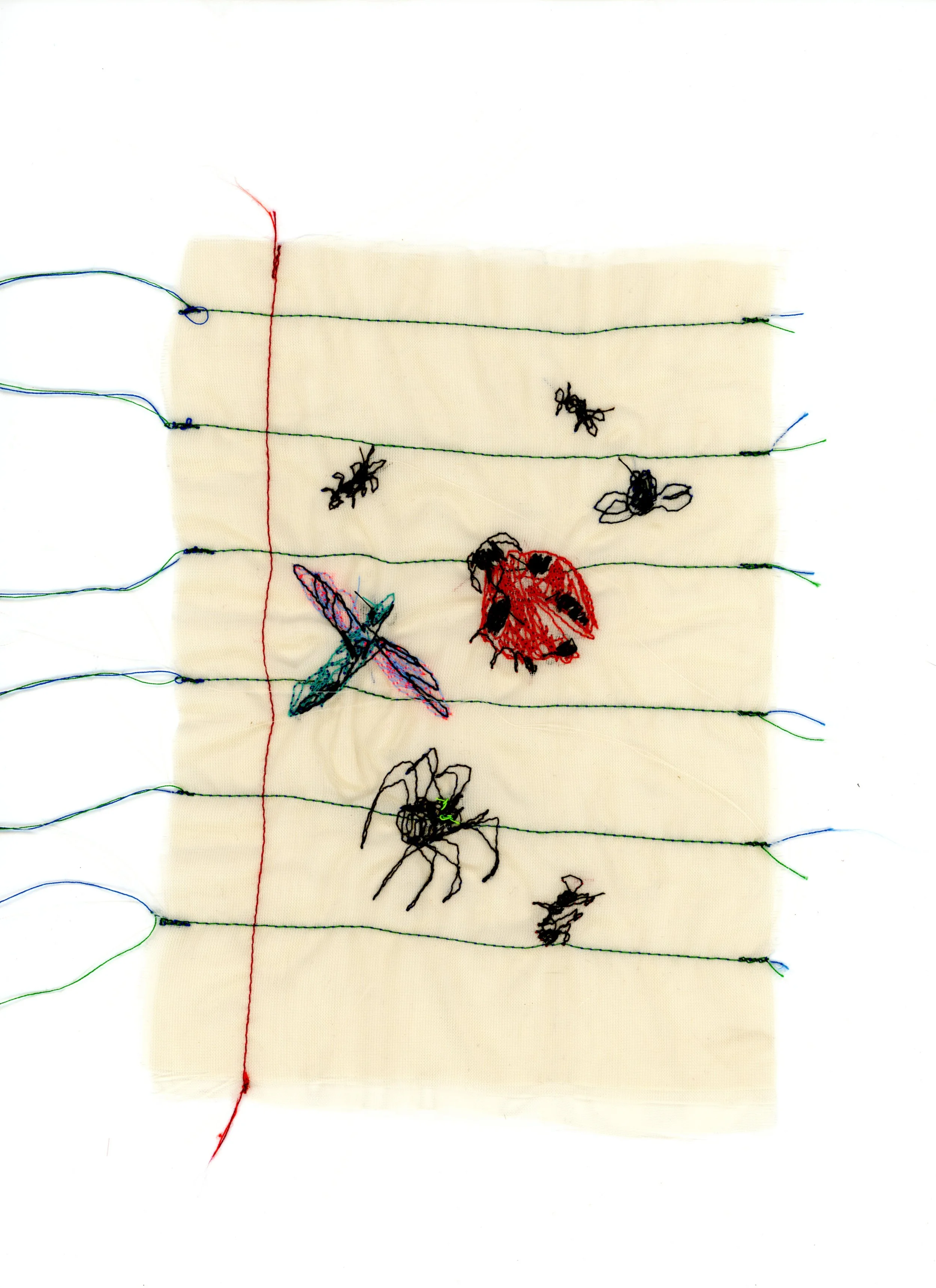 Bugs