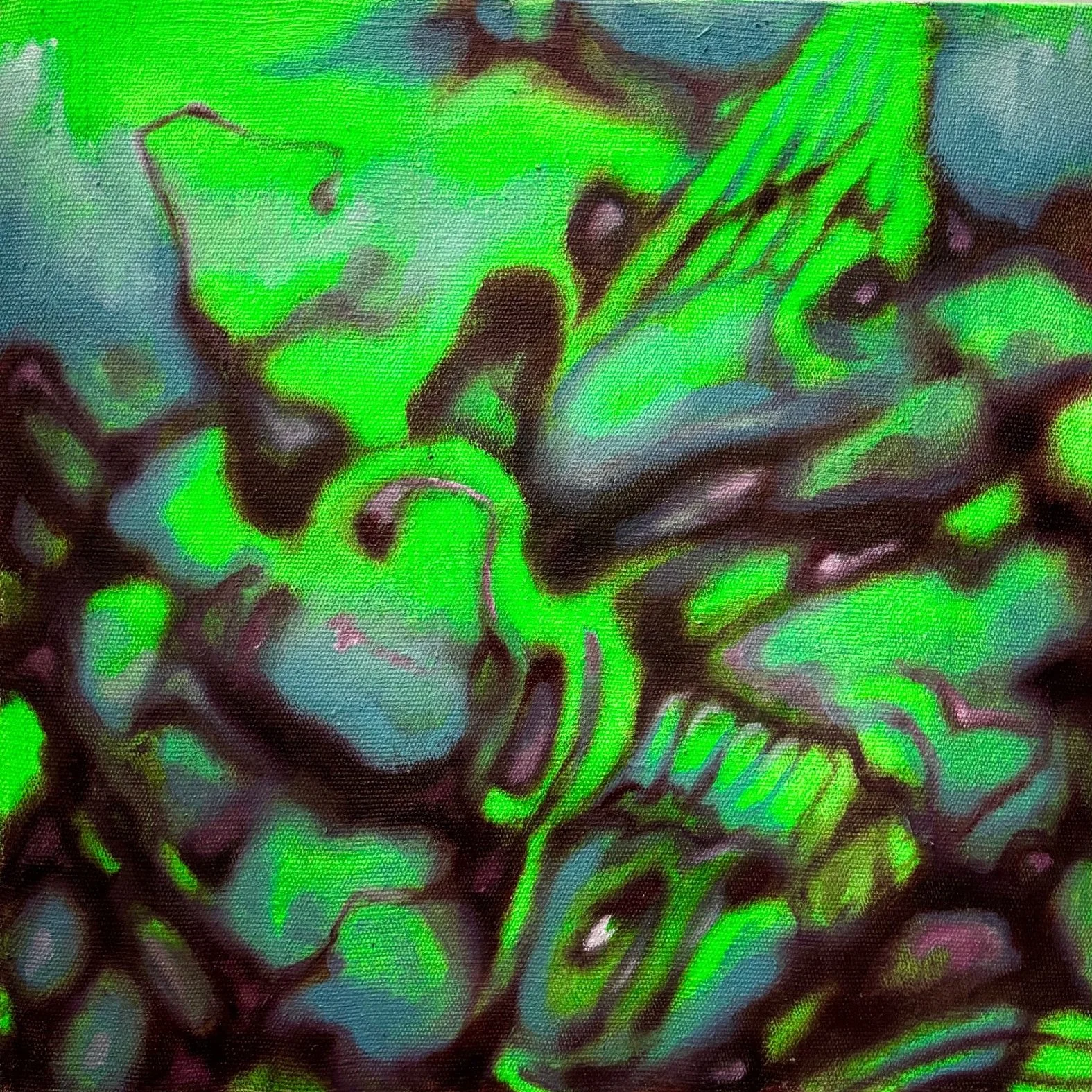 Birdfish, 2024
Oil on canvas
21 x 21in